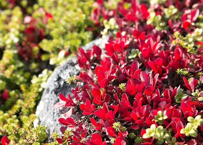 Apartment Saariselkae